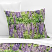 PURPLE_LUPINE_PLACEMATS-SPOKANE