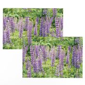 PURPLE_LUPINE_PLACEMATS-SPOKANE