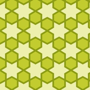 Geometric Pattern: Star Hexagon: Green