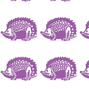 Violet Hedgehog