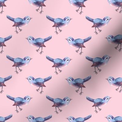 Songbird Blue on Pink