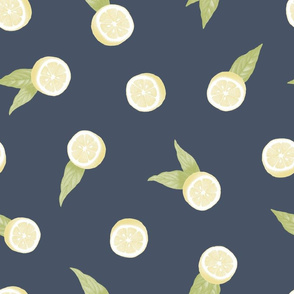 Lemons on Navy