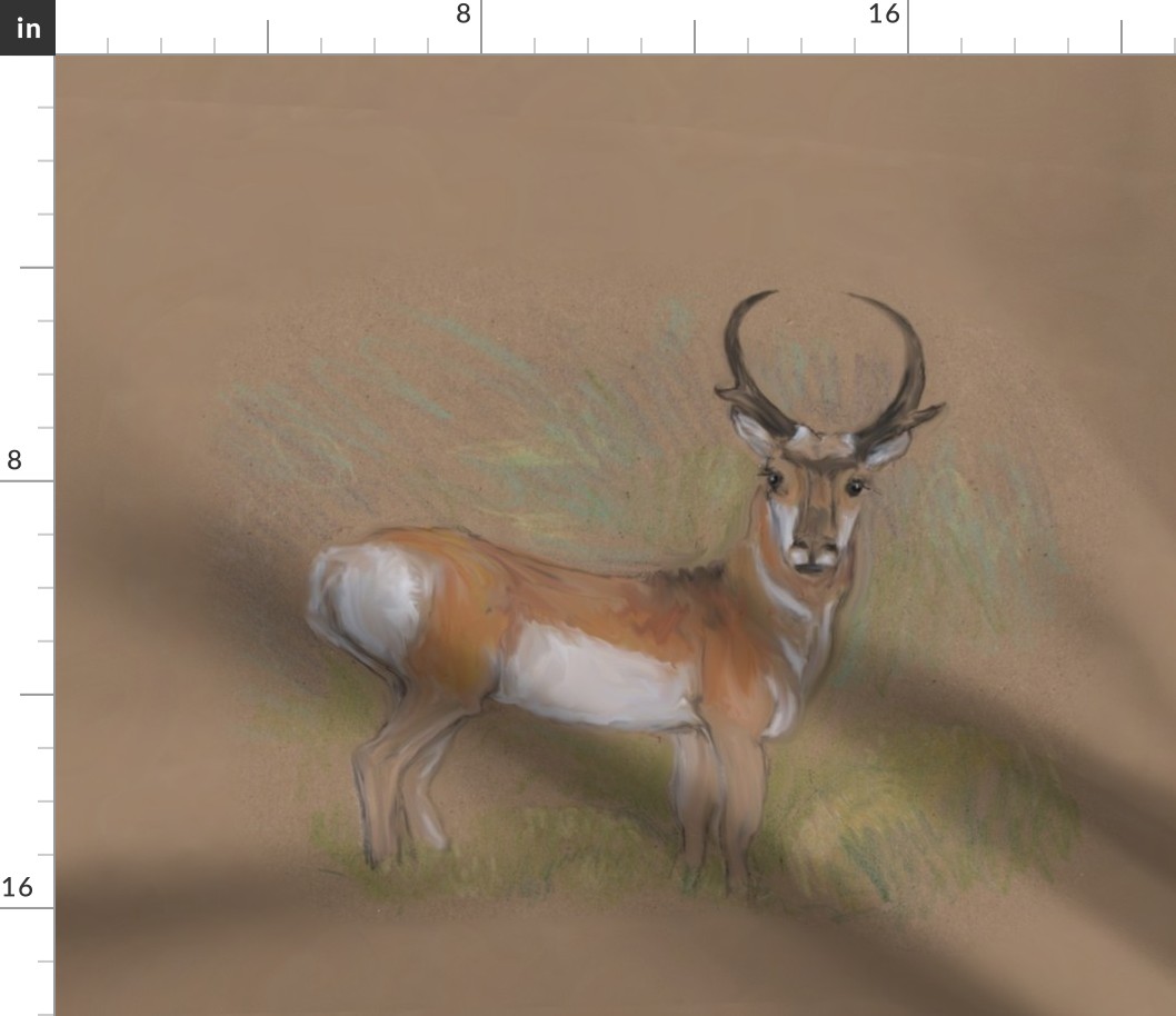 Pronghorn Antelope for Pillow