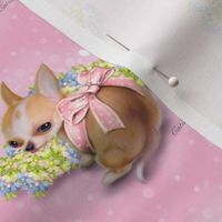 Chihuahua Baby pink M