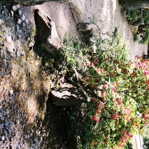 JAPANESE_GARDEN_TEA_TOWEL_2