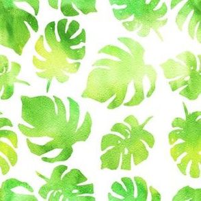 Monstera palm leaf watercolor