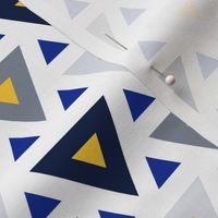 06912204 : triangle2to1 : spoonflower0415