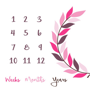 milestone-blanket-pink-wreath growth blanket