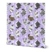 Chinchillas and moon dots - large purple