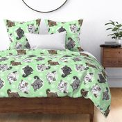 Chinchillas and moon dots - large green