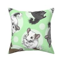 Chinchillas and moon dots - large green