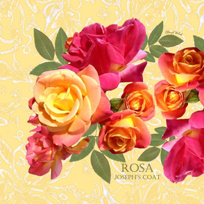 Rose Tea Towel on yellow