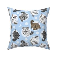 Chinchillas and moon dots - medium blue