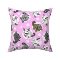 Chinchillas and moon dots - medium pink