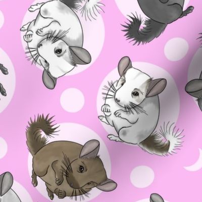 Chinchillas and moon dots - medium pink