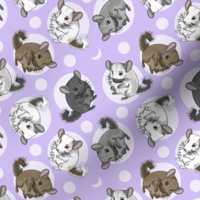 Chinchillas and moon dots - small purple