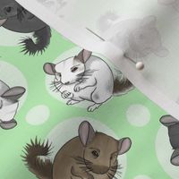 Chinchillas and moon dots - small green