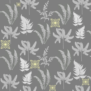 Ferns shades of grey