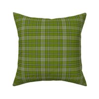 Kinlock Tartan bracken