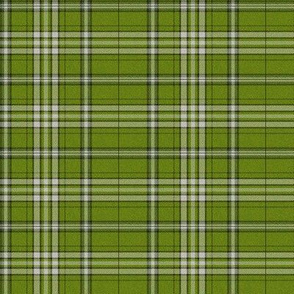 Kinlock Tartan bracken