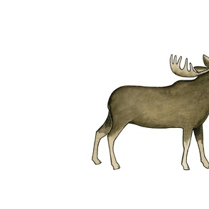 Watercolor Moose
