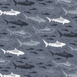 stealth tiger sharks (blue-gray smaller)