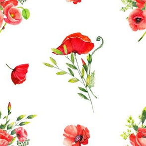 POPPIES FLOWERS BOUQUETS RED ON WHITE