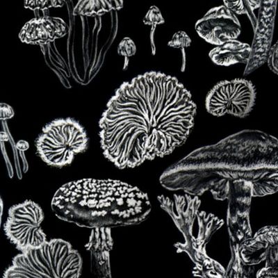 Mushrooms Black White Witchy Pattern