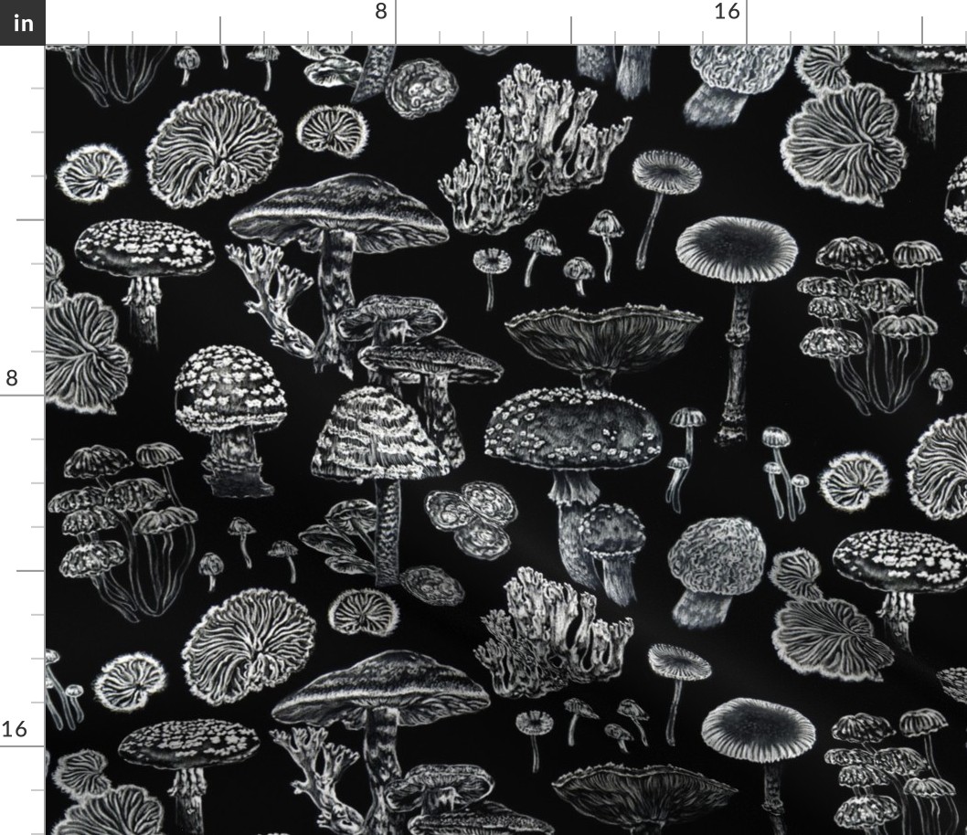 Mushrooms Black White Witchy Pattern