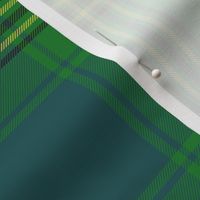 Oliver hunting tartan, 6" muted