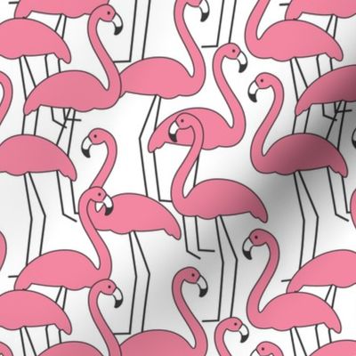 flock of pink flamingos