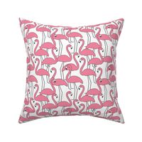 flock of pink flamingos