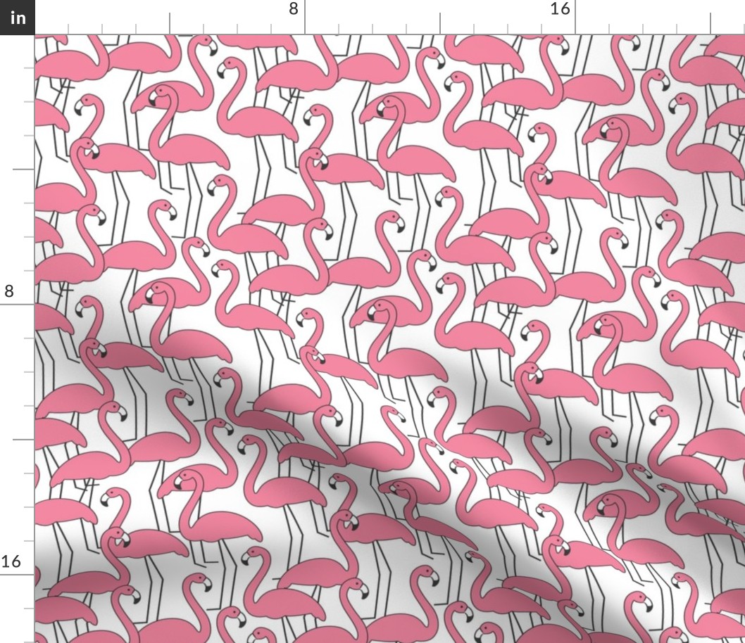 flock of pink flamingos