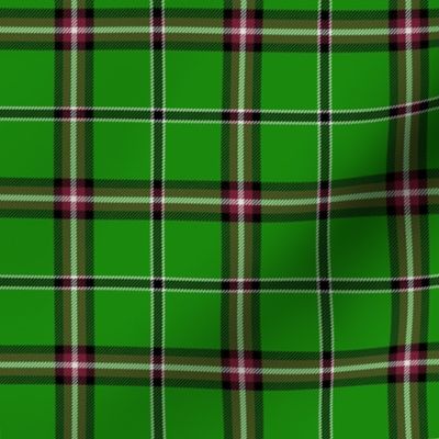 Leach / Leech / Leitch hunting tartan #1, 3"