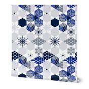 Mod Wintery Hexagons