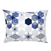 Mod Wintery Hexagons