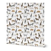 jungle // animal nursery giraffe elephant cheetah nature safari white lion brown