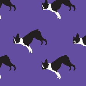 Standing Boston Terrier on a Seamless Pattern