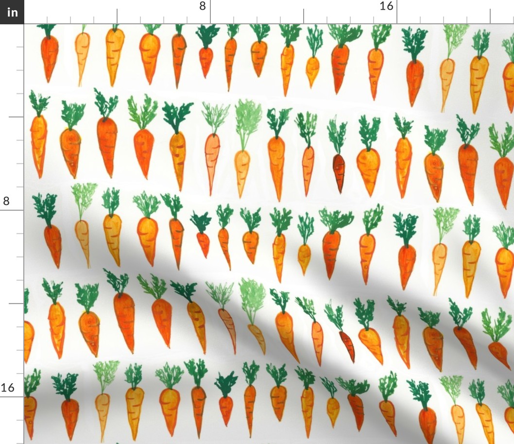 Big Carrot Patch