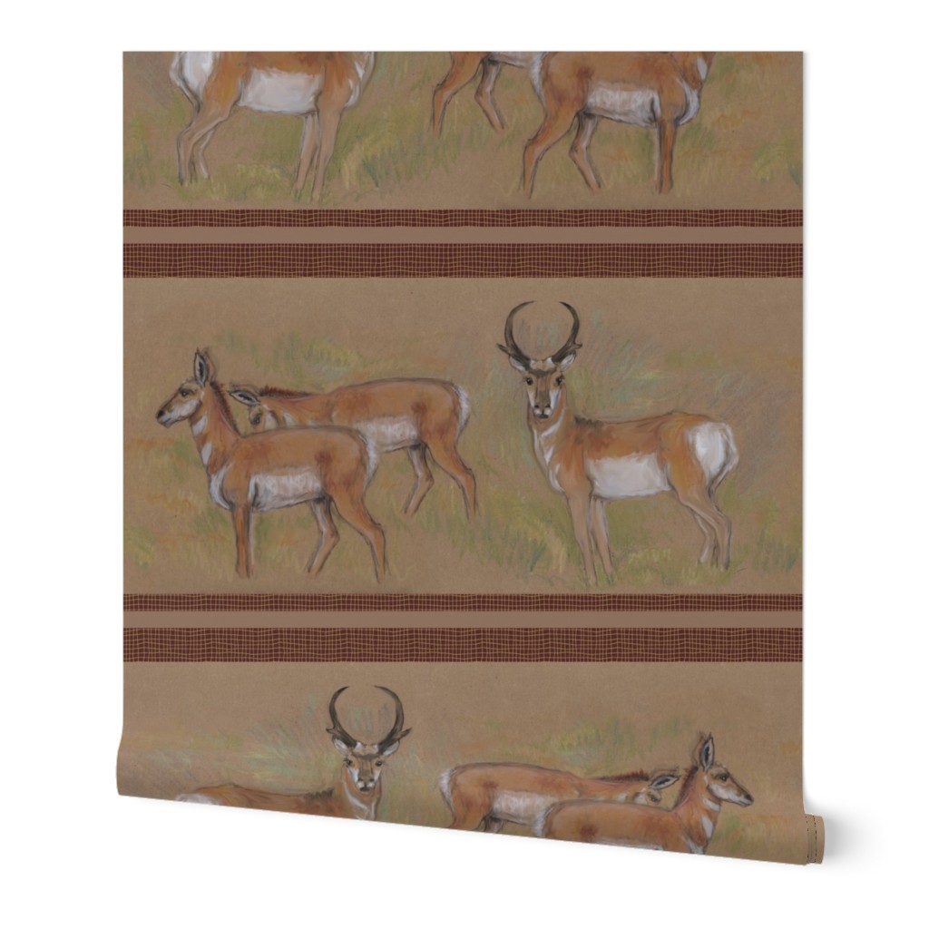 Pronghorn Antelope Stripe