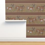 Pronghorn Antelope Stripe