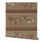 Pronghorn Antelope Stripe