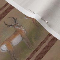 Pronghorn Antelope Stripe