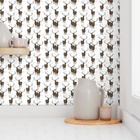 Elks_Linens_wallpaper