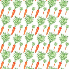 vegetables-carrot