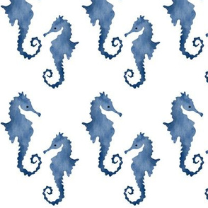 Seahorse