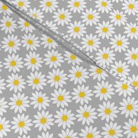 Daisies in Gray