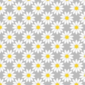 Daisies in Gray