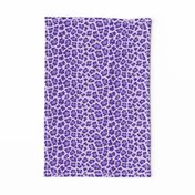 Leopard Spots Purple