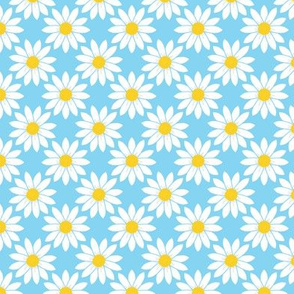 Daisies in Blue